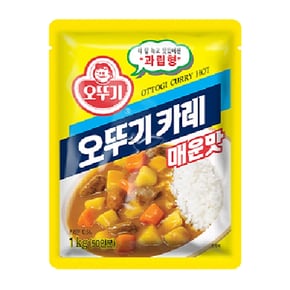 카레 매운맛 1kgx10개/1BOX 분말