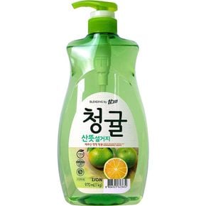 청귤 산뜻설거지 펌프 1kg 참그린 주방세제