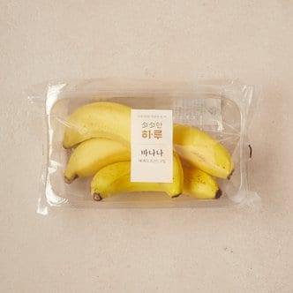신세계푸드 [에콰도르산] 하루과일 바나나/팩 (420g내외)