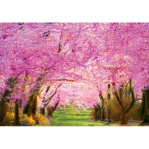 1000피스 직소퍼즐 - 벚꽃길