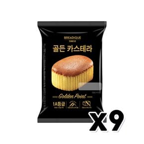 브레디크 골든카스테라 베이커리간식 78g x 9개