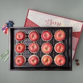 [전국택배]대경사과원예농협 당도선별 안동사과 선물 세트 3.7kg (12입)