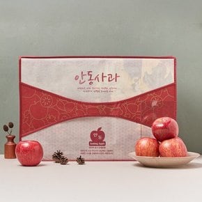 [전국택배]대경사과원예농협 당도선별 안동사과 선물 세트 3.7kg (12입)