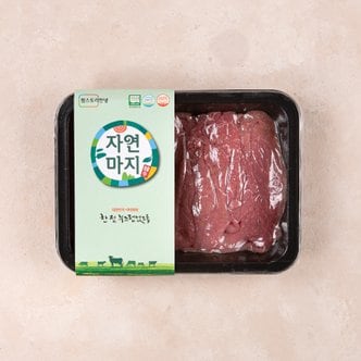  [냉장] 자연마지 무항생제 한우 1+등급 육전용 300g