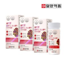일양 바디팻 콜레우스 포스콜리 다이어트 레드 12주분