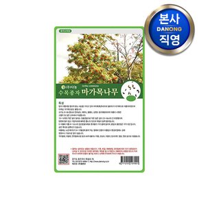 마가목 나무 씨앗 1kg . 식물 수목 씨 종자