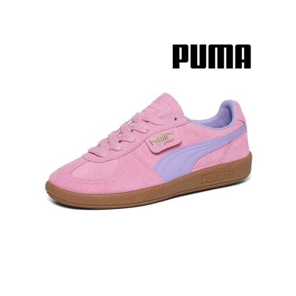 팔레르모 주니어 397271_12