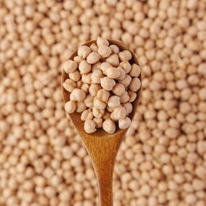 청년너츠 병아리콩 500g