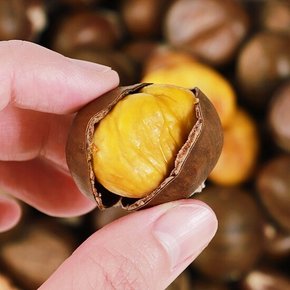 [달콤한 꿀밤] 대표간식 약단밤 1kg x 2봉