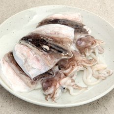 보령수협 손질오징어 5~6미 1kg
