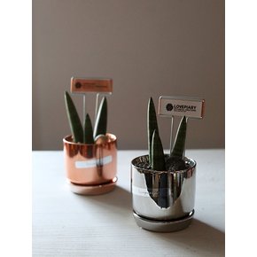 손끝의 작은 숲 Simple Stukyi Metal st. Mini Pot