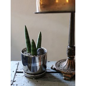 손끝의 작은 숲 Simple Stukyi Metal st. Mini Pot
