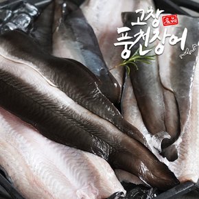 [명절 후 배송][단골농장] 고창 풍천 민물장어 2kg 손질 (1.2kg~1.3kg내외)