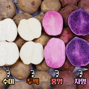 산지직송 햇감자 괴산 두백감자 대왕 3kg