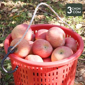 경북 꿀 못난이 홍로 사과 가정용 흠과(중소) 2kg