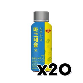 하루한병 마그네슘 에너지드링크 100ml x 20개