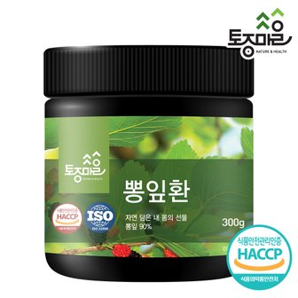토종마을 HACCP인증 국산 뽕잎환 300g