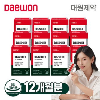  대원제약 혈당파이터 12개월분