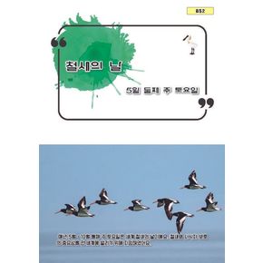 철새의 날 철새의날 책