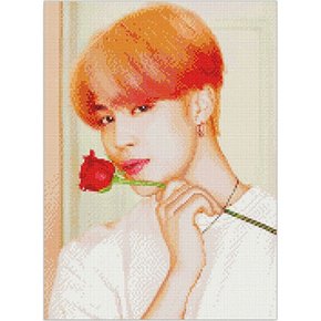 DIY 보석십자수 BTS 방탄소년단 큐빅페인팅 v1 지민 40x50