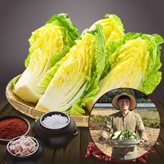 참다올 절임배추20kg(7~8포기)
