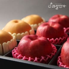 [9/11 16시까지 주문시 명절전 배송][과일선물세트] NEW 사과배혼합선물세트 5.5kg(사과6개, 배6개)