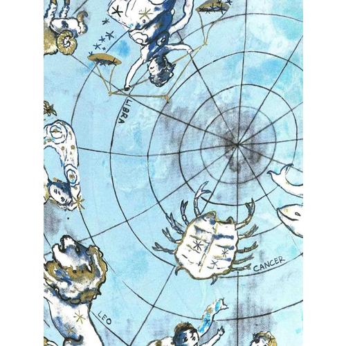 다이앤 본 퍼스텐버그 머플러/스카프 F001AWATERSKTLWATER LIGHT BLUE