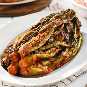 입맛 돋우는 쌉싸름 아삭 갓김치 1kg