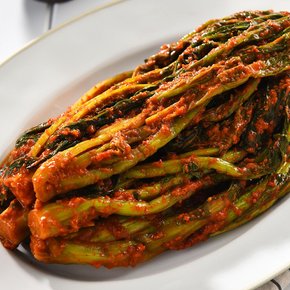 입맛 돋우는 쌉싸름 아삭 갓김치 1kg