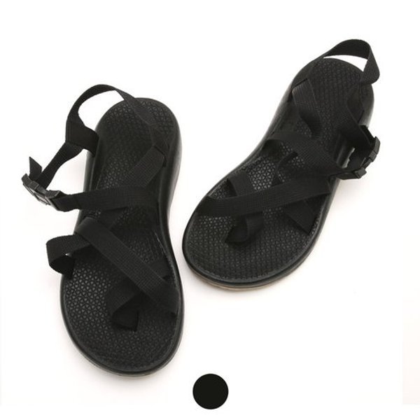 확대된 대표 image1