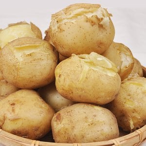 푸르젠 [오늘출발] 포근포근 24년산 감자 5kg (중)