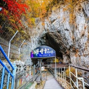 [최소출발인원 8명][KTX-1박]!호텔!슬기로운 강원여행① 삼척+동해+강릉