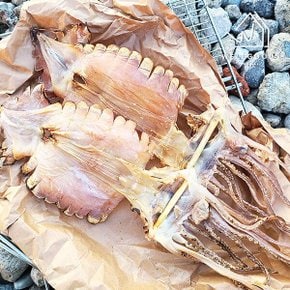 담백한 마른 오징어 5미(625g내외,특대,원양산)