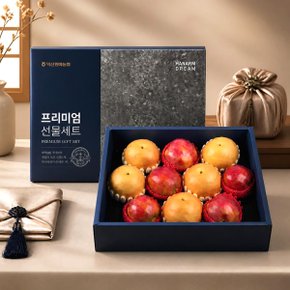 [바로배송] [농협] 프리미엄 사과배 혼합세트 6kg(특품사과5과,배5과)