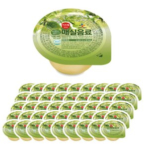 CJ 이츠웰 자일로스 매실음료 100ml x 45입