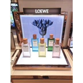 로에베 에센시아 오드 퍼퓸 100ml
