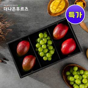 백화점 식품관 항공 직배송 고당도 애플망고 4입 샤인머스캣 1입 과일 혼합 선물세트 2.3kg 내외