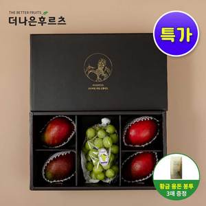  백화점 식품관 항공 직배송 고당도 애플망고 4입 샤인머스캣 1입 과일 혼합 선물세트 2.3kg 내외