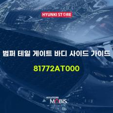 범퍼 테일 게이트 바디 사이드 가이드 (81772AT000)