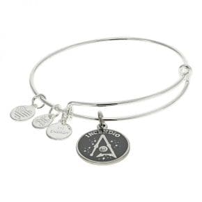 3289479 Alex and Ani 알렉스와 애니 해리 포터, 인센디오 참 뱅글