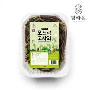 이제주 간편한 데친 고사리 300g x 2