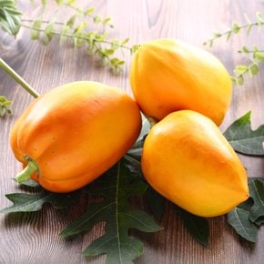 당도선별 국내산 스위탄 파파야 1kg (1-2과)