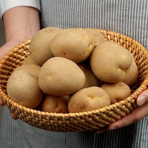 대화팜_감자 3kg 특100-150g
