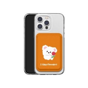 맥세이프 젤하드+카드지갑 세트 1+1 아이폰 갤럭시 전기종 하이테디