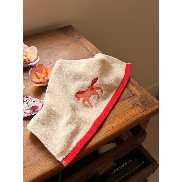 붉은말 미니타월