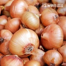 [농부의정성] 무안 양파 중대혼합 5kg