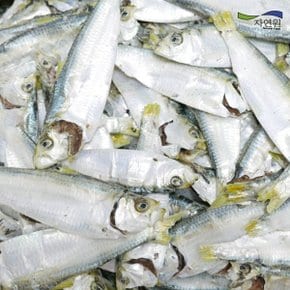 [자연원] 국내산 완도 디포리(밴댕이) 1.5kg(특/박스)