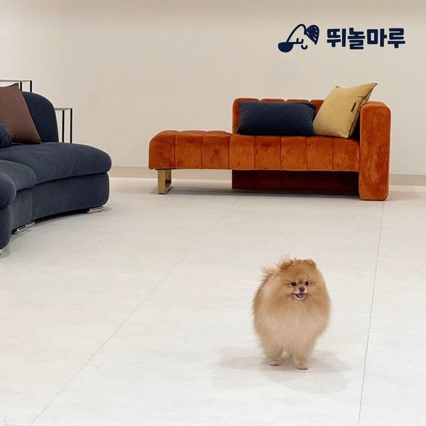 뛰놀마루 강아지매트 프리미엄 TPU 논슬립 갤럭시베이지 600