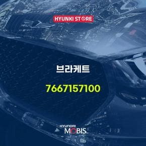 브라케트 (7667157100)