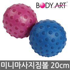 바디아트 미니마사지짐볼 18cm